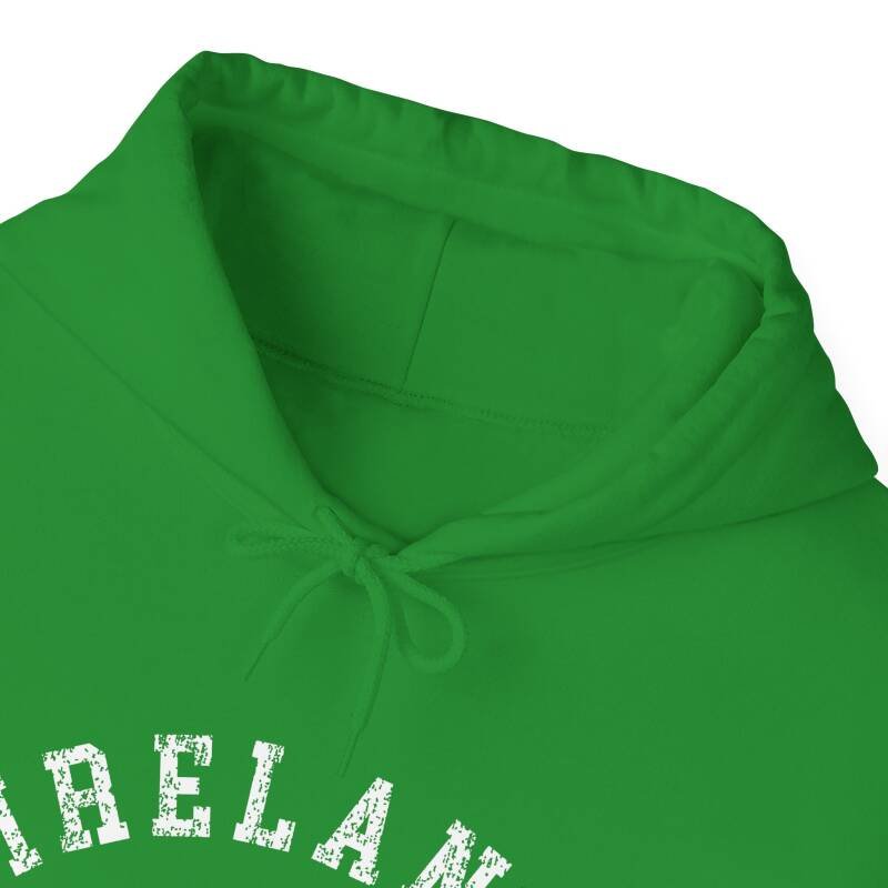 Ireland Flag & Shamrock Hoodie – Classic Irish Pride Unisex Heavy Blend Hoodie - Image 5