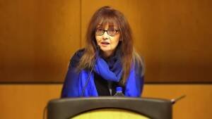 Alice Fulton's Irish Inheritance